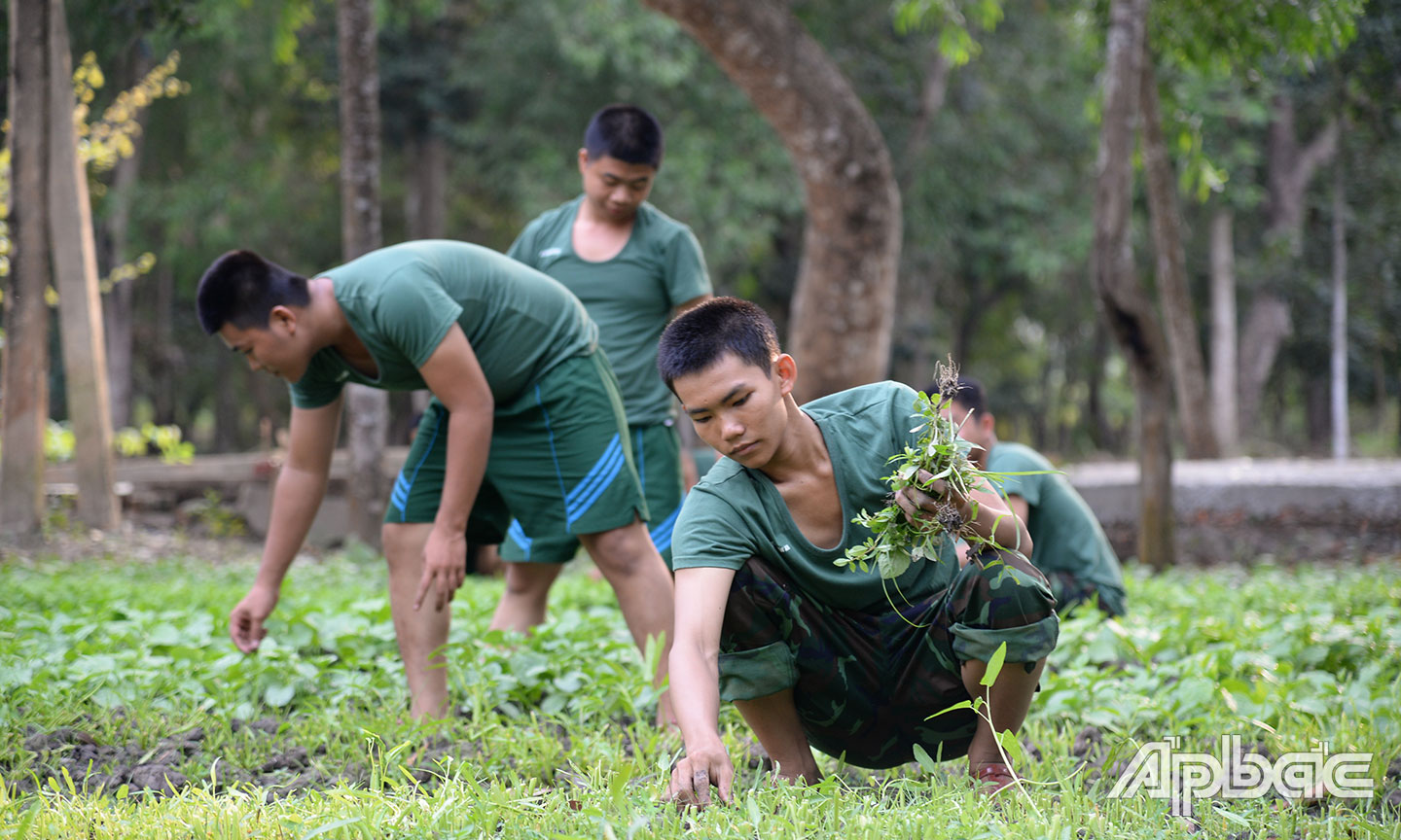 Các chiến sĩ mới chăm sóc rau xanh.