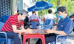 Cờ tướng - thú vui tao nhã