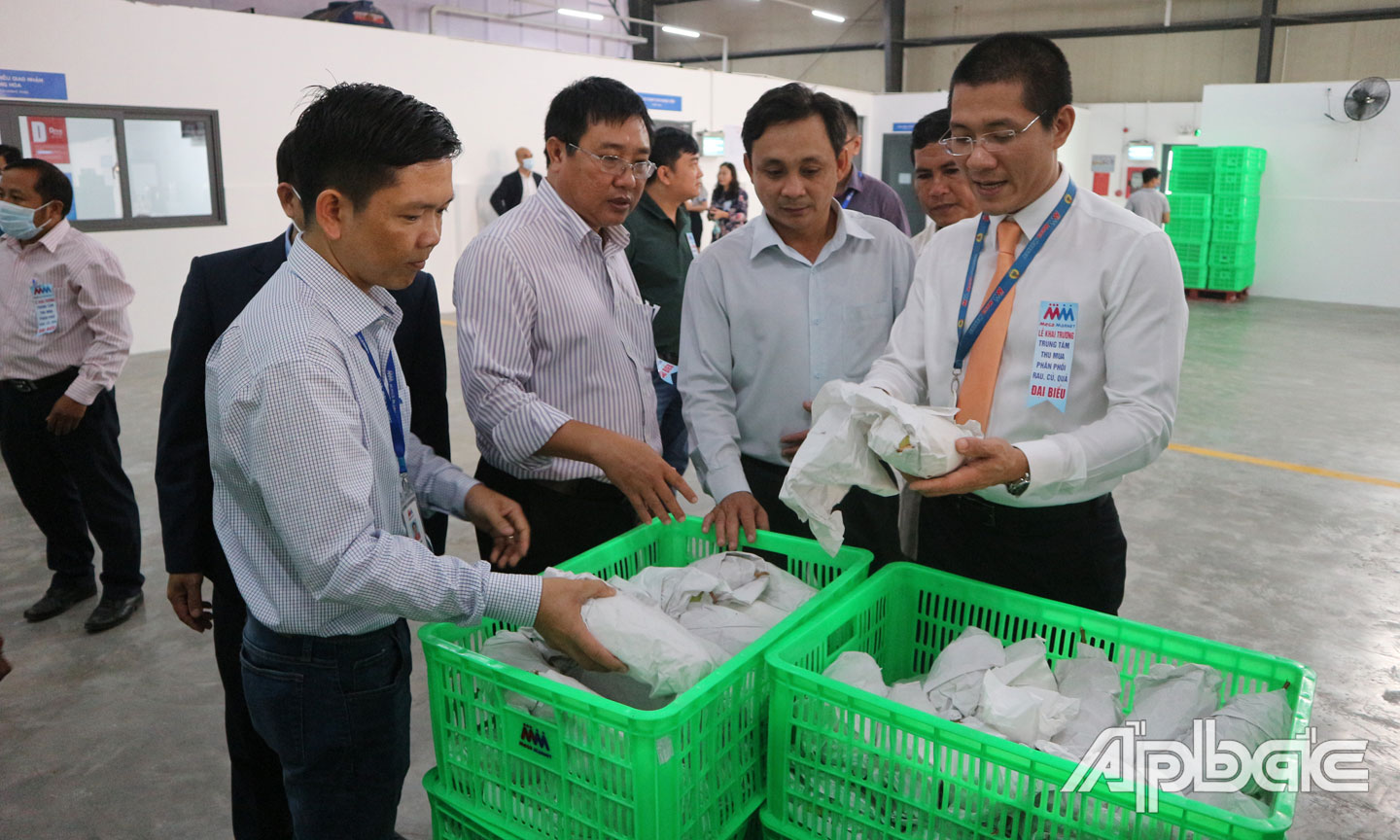 Lãnh đạo Sở Công thương, đại diện Công ty TNHH MM Mega Market Việt Nam trao đổi về việc  thu mua và phân phối trái cây.