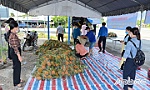 Tiền Giang: Kết nối tiêu thụ nông sản