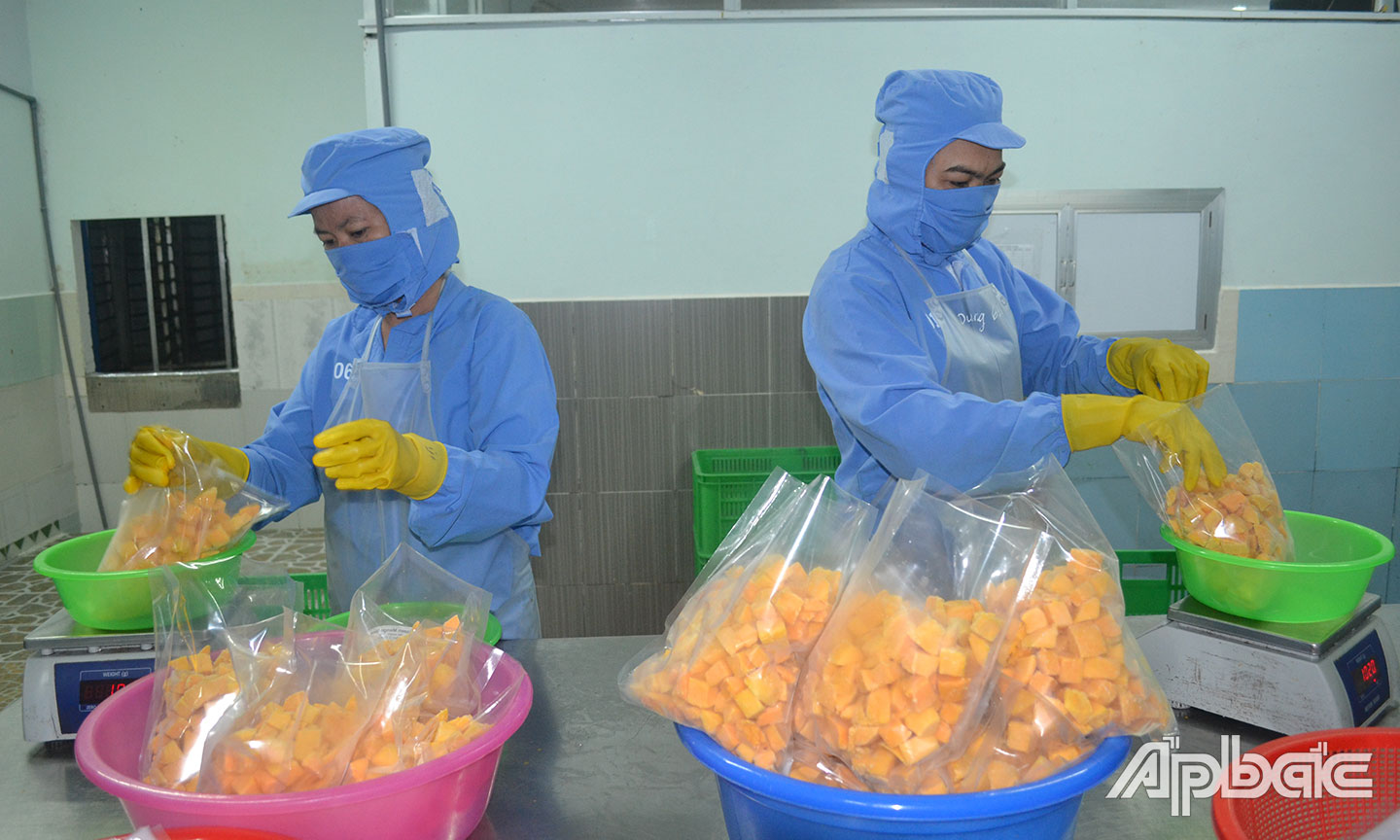 Nâng tỷ lệ sản phẩm chế biến xuất khẩu là mục tiêu đặt ra cho ngành hàng trái cây Tiền Giang.