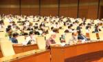 Ý kiến, kiến nghị của cử tri và nhân dân gửi đến Kỳ họp thứ nhất, Quốc hội khóa XV