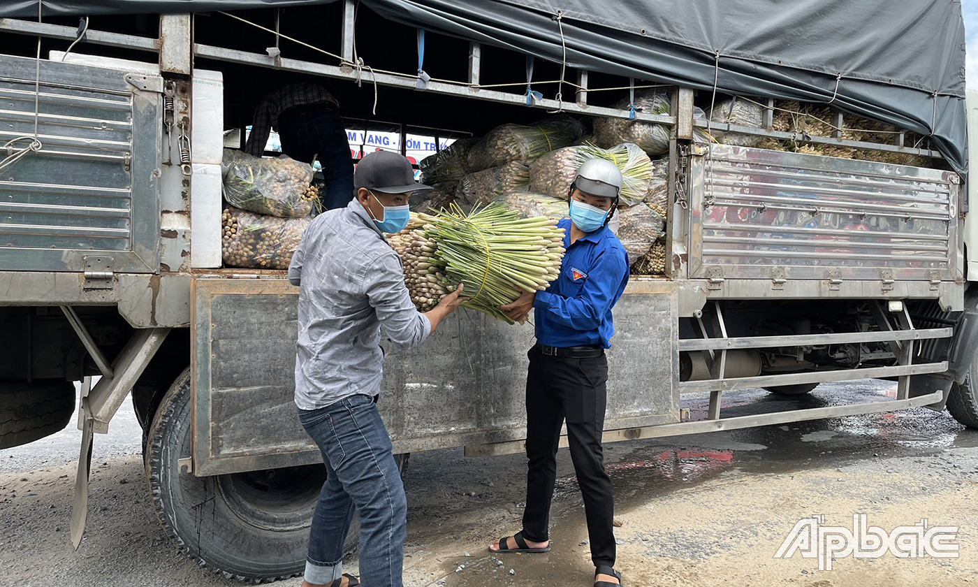 Huyện đoàn Tân phú Đông đã tặng huyện đoàn Gò Công Tây 100ky sả để nấu nước chanh gừng sả nhằm tăng sức đề kháng cho lực lượng làm nhiệm vụ tại các chốt chặn