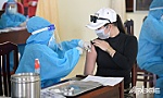Mảnh ghép mùa dịch - BÀI 1: Những dòng tin nhắn vội