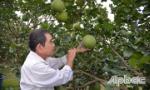 Thắp lửa hành động