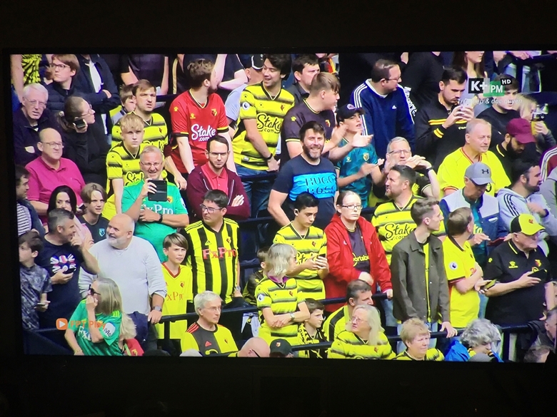 Khán giả xem trận bóng đá Tottenham vs Watford,  vòng 3 giải Ngoại hạng Anh. (Ảnh: chụp qua màn hình) 