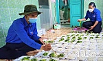 Lan tỏa 