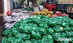 Tỉnh Lâm Đồng và Tập đoàn Phương Trang: Hỗ trợ Tiền Giang 50 tấn rau, củ