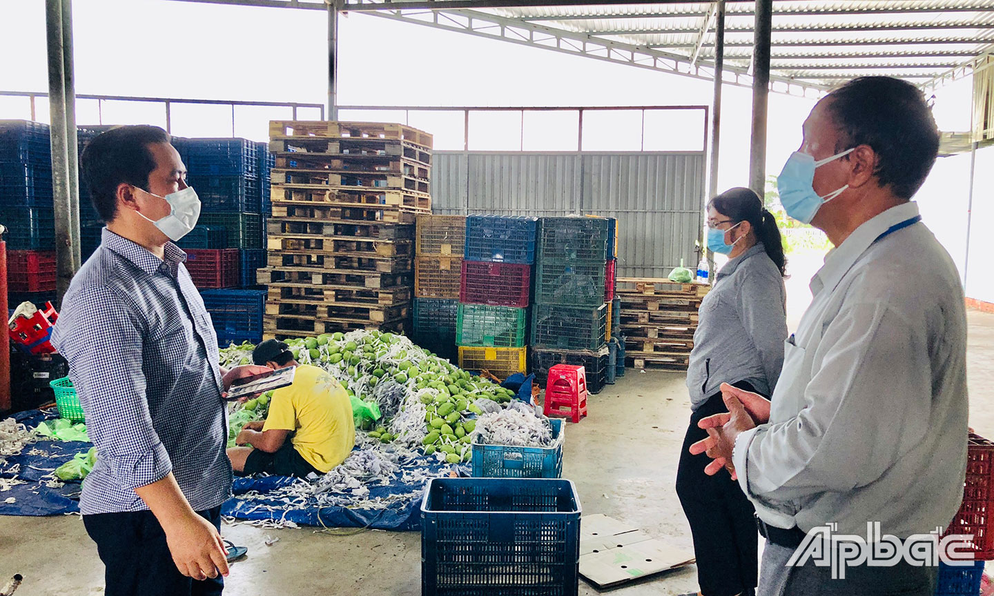 HTX Nông nghiệp sạch Hưng Thịnh Phát chuẩn bị các combo hàng hóa để giao cho khách hàng.