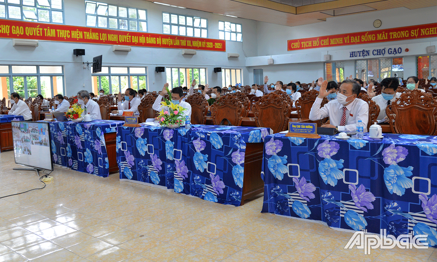 Đại biểu biểu quyết thông qua các Nghị quyết.