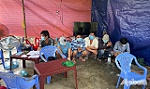 Triệt xóa tụ điểm đánh bạc dưới hình thức đá gà qua mạng