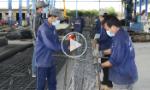 Tiền Giang khôi phục sản xuất, kinh doanh an toàn, hiệu quả