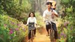 Film week to celebrate 22nd Vietnam Film Festival