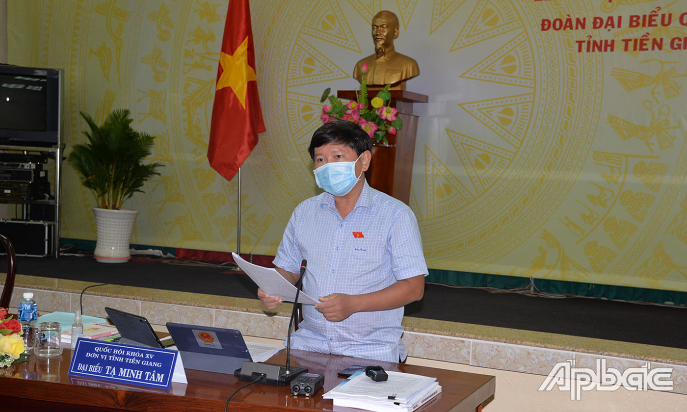 Phó trưởng đoàn ĐBQH  tỉnh Tạ Minh Tâm phát biểu tại buổi thảo luận tổ