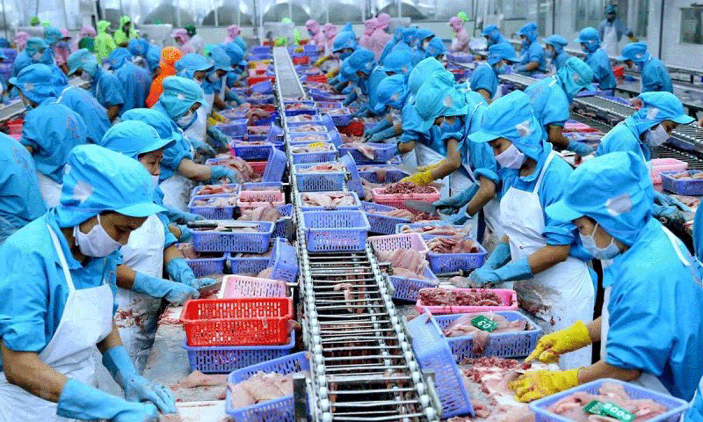 9 tháng đầu năm 2021, kim ngạch xuất khẩu thủy sản đạt xấp xỉ 6,2 tỷ USD, tăng hơn 2,9% so với cùng kỳ năm trước.