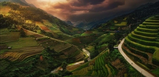 The terraced fields captured by Spanish photographer Felipe Souto. (Photo courtesy of Felipe Souto).