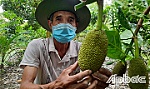 Chuyện về một nông dân sản xuất giỏi