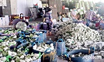 Hợp tác xã Nông nghiệp Mỹ Đức Đông: Linh hoạt, chủ động trong sản xuất, kinh doanh
