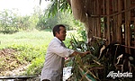 Hội Cựu chiến binh huyện Gò Công Đông: Hỗ trợ hội viên phát triển kinh tế, ổn định cuộc sống