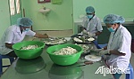 Nỗ lực mở rộng kênh tiêu thụ, đa dạng sản phẩm