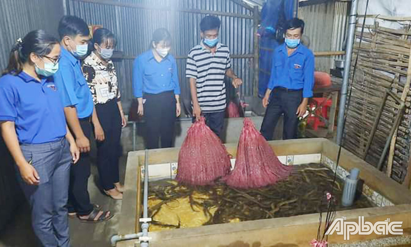 Đoàn viên, thanh niên tham quan mô hình Nuôi lươn không bùn.                                      Ảnh: XUÂN MAI