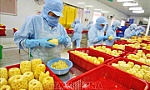Bộ Công Thương phân tích về tình trạng nông sản ùn ứ ở cửa khẩu mỗi dịp Tết