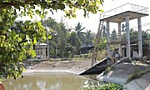 ĐBSCL: Nước mặn xâm nhập sâu dịp Tết Nguyên đán