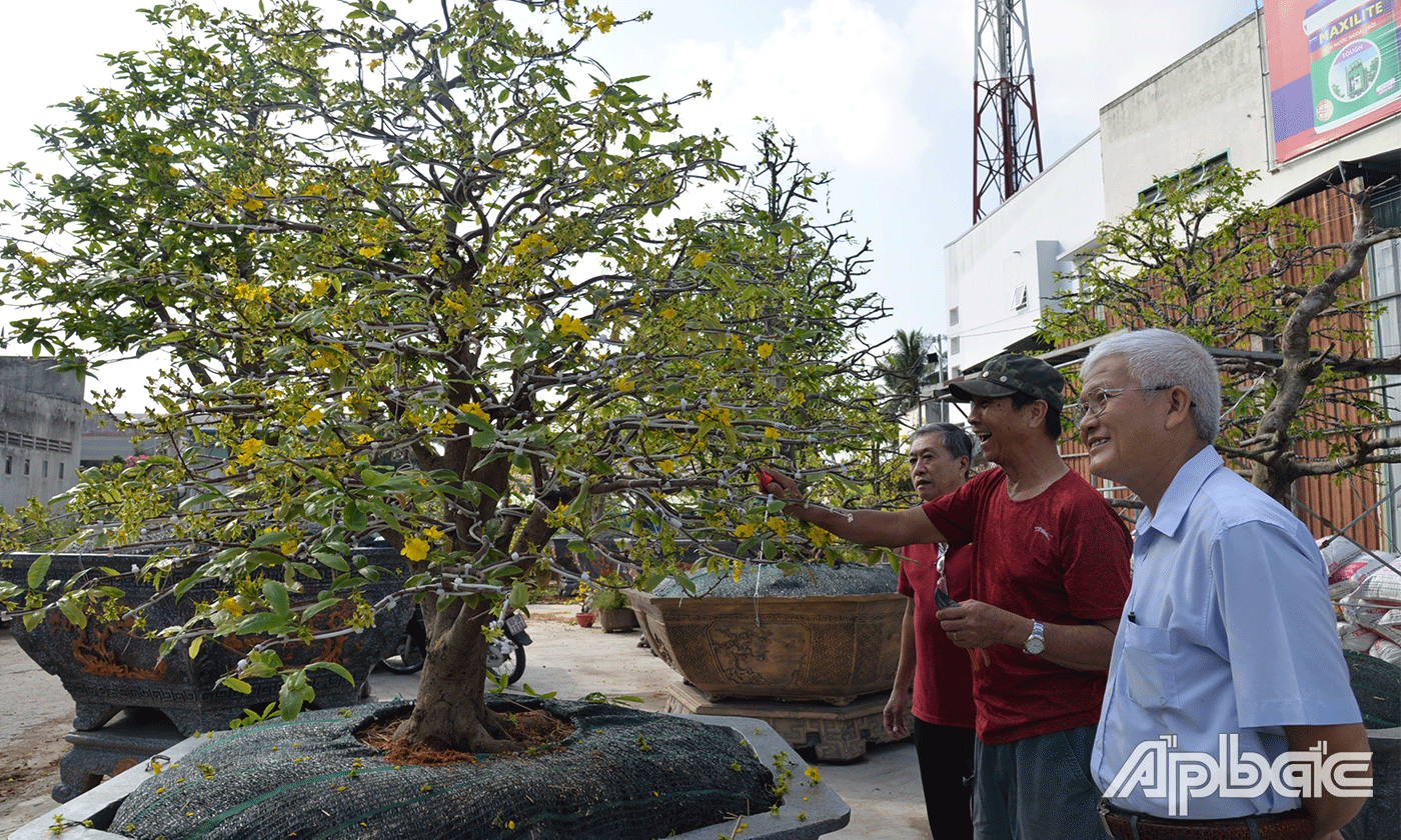 Có kỹ năng tạo dáng, chăm sóc sẽ tạo cây cảnh, bonsai có giá trị kinh tế cao.