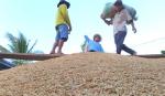 Hóa giải 'nút thắt' cho nông nghiệp ĐBSCL bằng cách nào?
