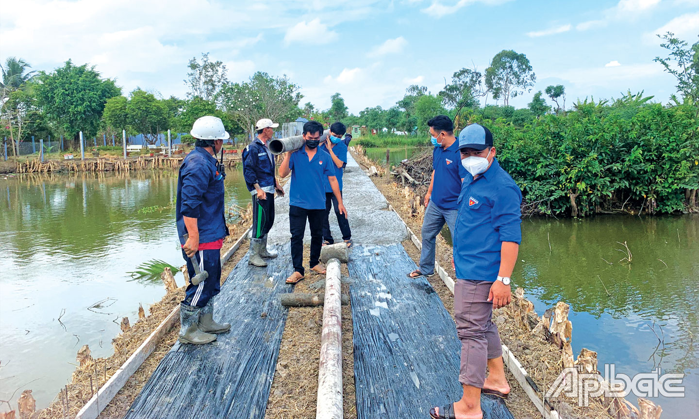 ĐVTN Thị đoàn Gò Công tham gia công trình thanh niên xây dựng đường giao thông nông thôn chào mừng đại hội Đoàn các cấp tại ấp Sơn Quy A, xã Tân Trung, TX. Gò Công.