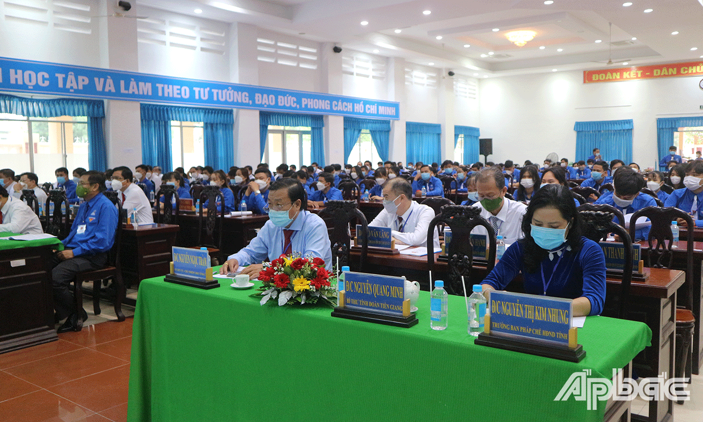 Đại biểu, khách mời tham dự đại hội