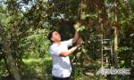 Nhìn khác về đất làm nông nghiệp