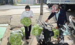 Huyện Châu Thành: Đẩy mạnh hỗ trợ phát triển kinh tế tập thể