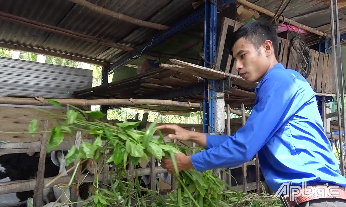 Nhờ mạnh dạn mở rộng