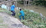 TX. Cai Lậy: Khắc phục tình trạng ô nhiễm các tuyến kinh