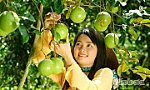 Chợ Giữa Vĩnh Kim, vùng đất vang bóng một thời