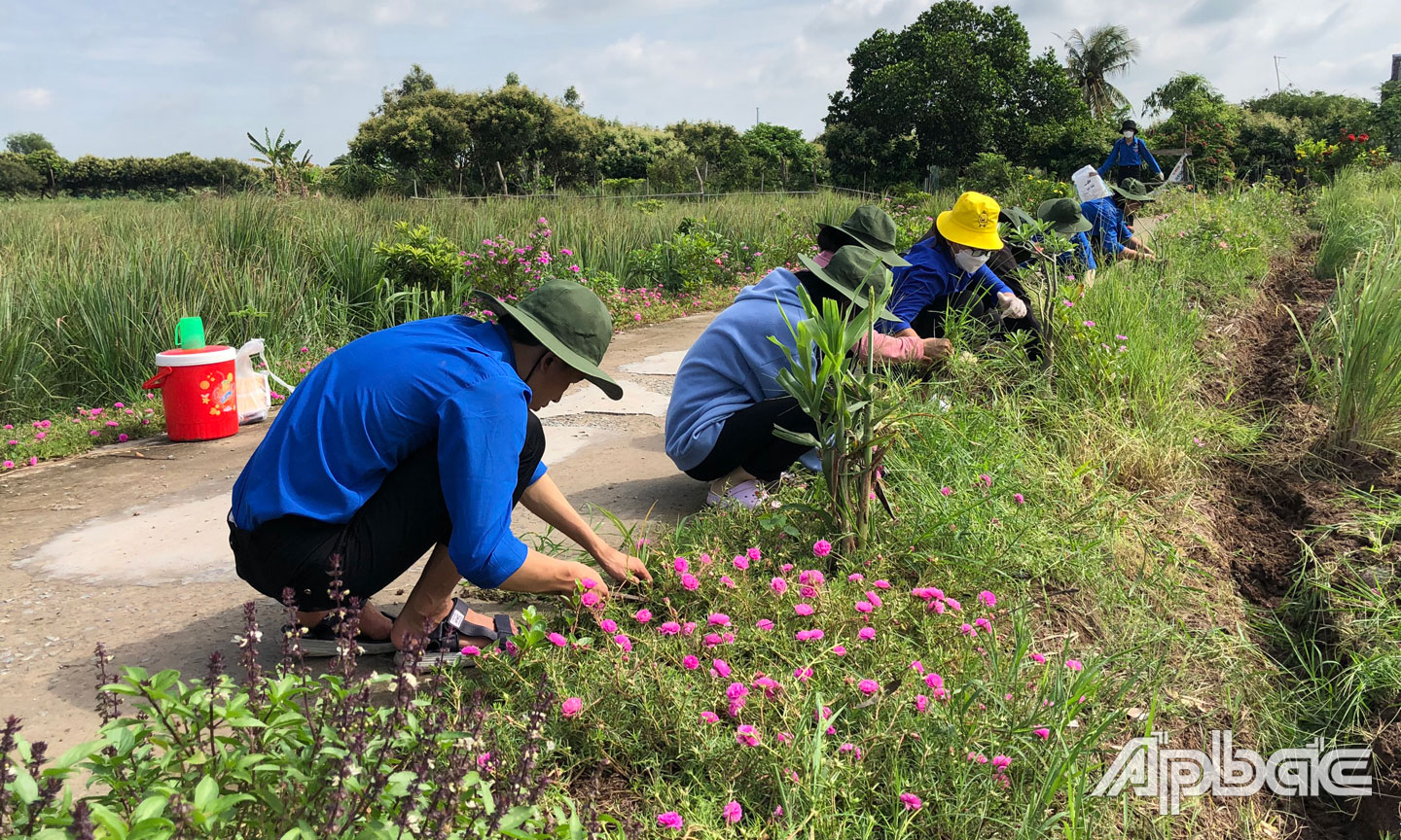 Sinh viên tình nguyện Trường ĐHTG gia cố và trồng hoa cải tạo cảnh quang môi trường trên các tuyến đường giao thông nông thôn.