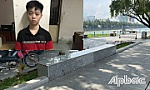 Điều tra nhóm thanh thiếu niên về hành vi 