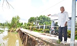 Tiền Giang: Nhiều giải pháp khắc phục sạt lở