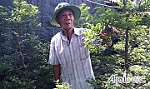 Chuyện về 2 đảng viên 