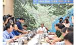 Thủ tướng yêu cầu đình hoãn các cuộc họp không thật sự cấp bách để tập trung chống bão Noru