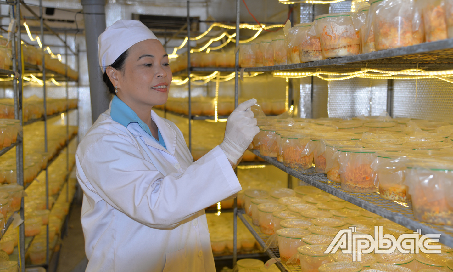 Doanh nghiệp trên địa bàn tỉnh Tiền Giang không ngừng mở rộng quy mô hoạt động.