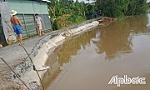 Tiền Giang: Sạt lở diễn biến phức tạp dọc sông Ba Rài