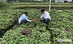 BÀI 1: Bắt nhịp xu thế