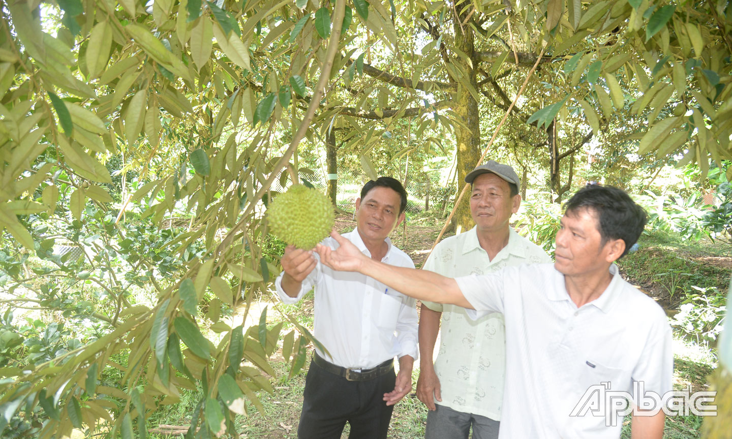 Nâng cao chất lượng sản phẩm để xuất khẩu sang các thị trường khó tính là định hướng  phát triển của HTX.