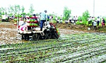 Giúp nông dân thu lợi từ 