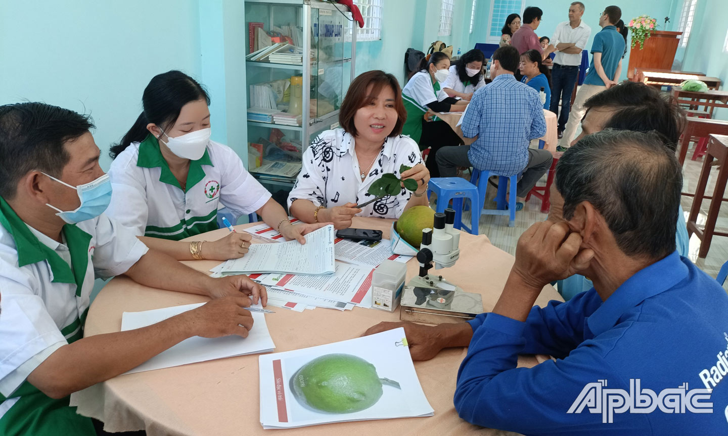 UBND xã Tân Mỹ Chánh phối hợp với các cơ quan chức năng tổ chức nhiều cuộc tập huấn,  hội thảo hỗ trợ kỹ thuật cho nông dân trồng bưởi da xanh.