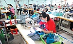 Tiền Giang: Quan tâm, chăm lo người lao động bị ảnh hưởng việc làm