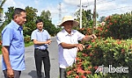 Tiền Giang: 