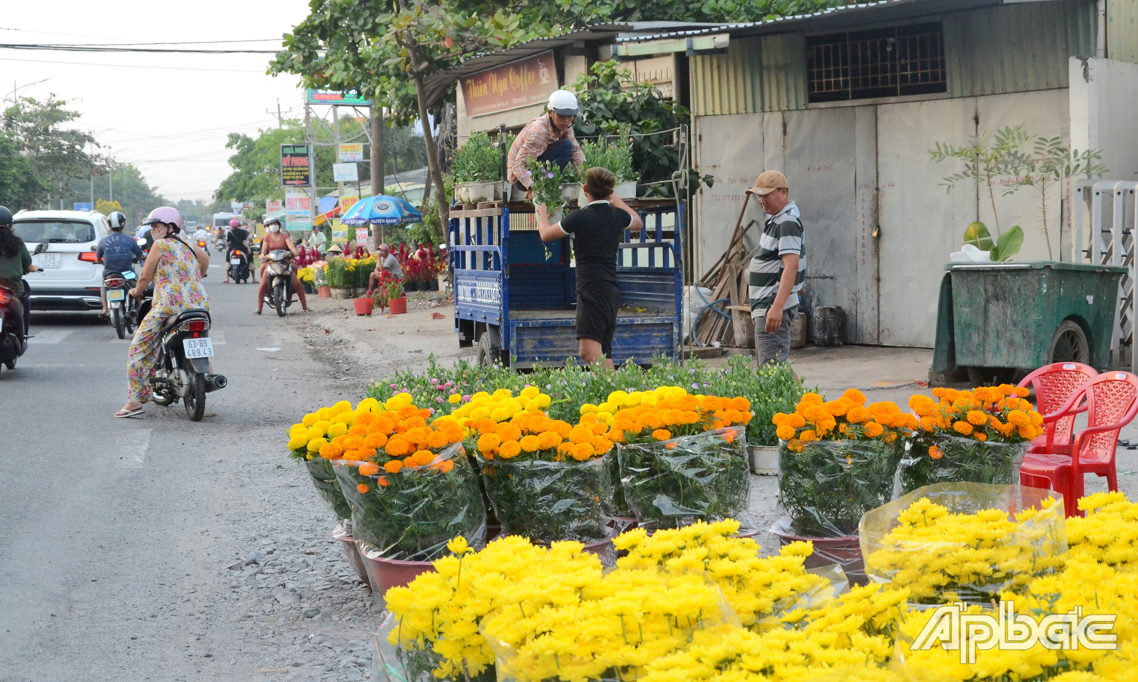 Hoa tết tràn ra đường.